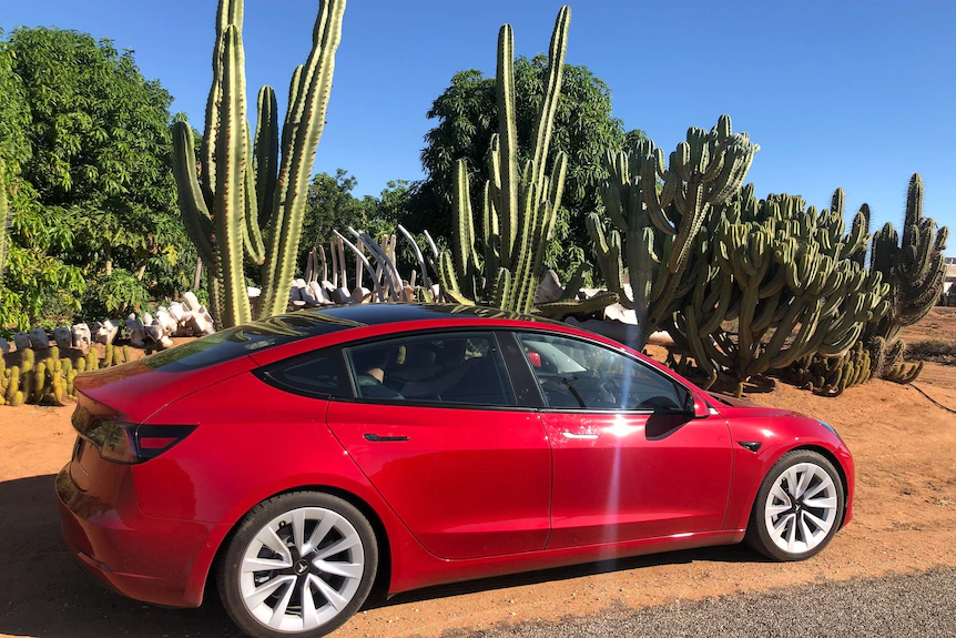 A red car parked in front of a group of cactus
