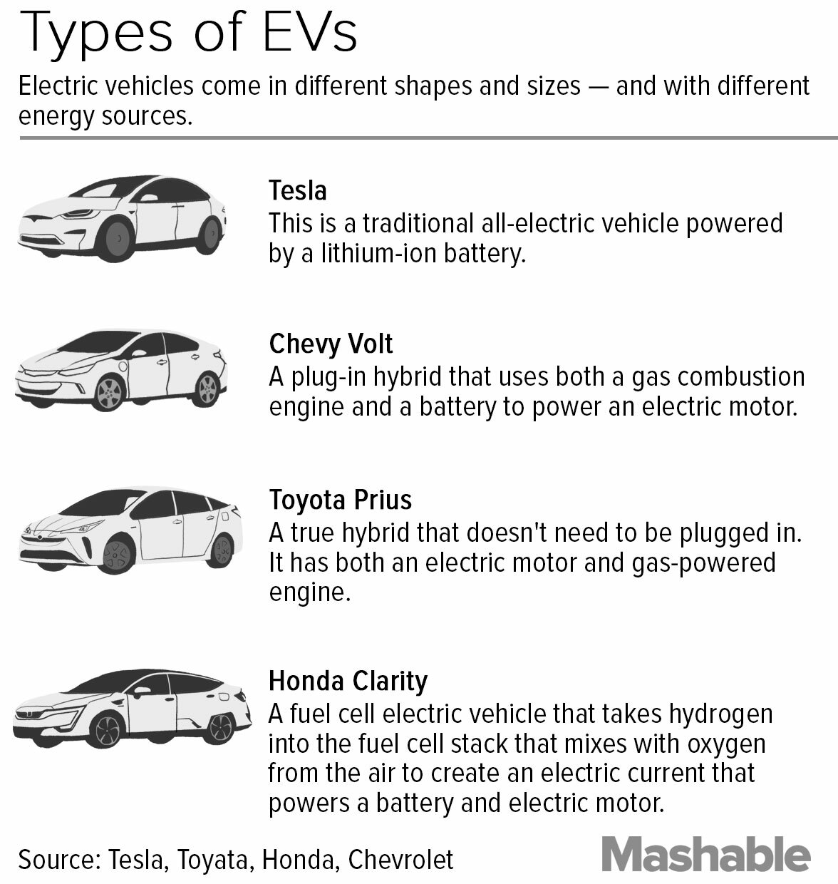 Types of EVs.